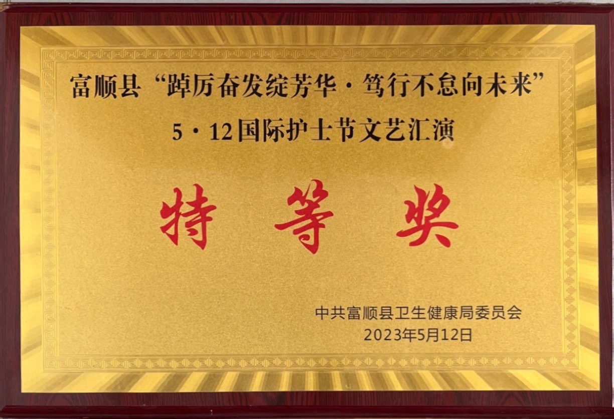 文艺汇演特等奖